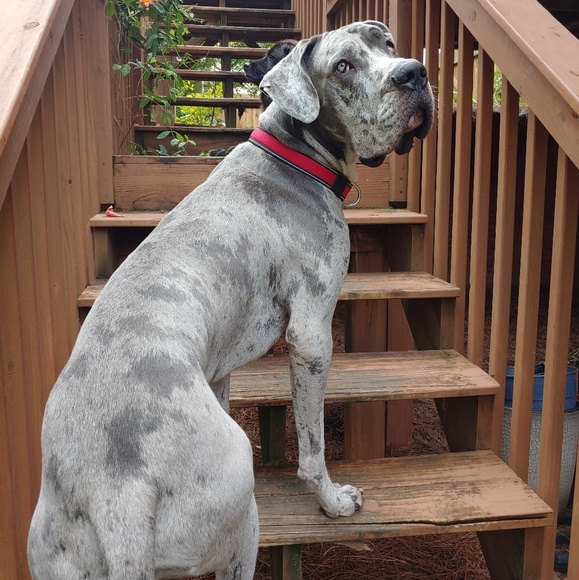 Meet your Posher, Kathy - Picture 1 of 1